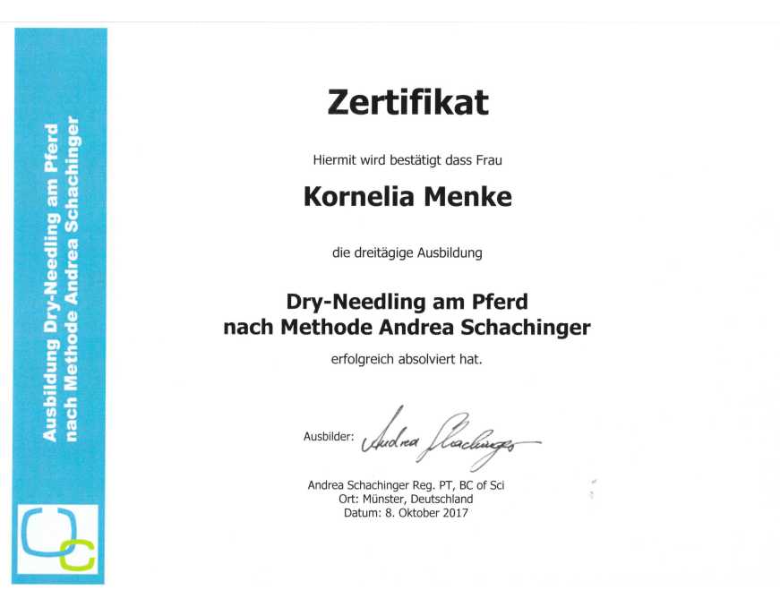 Zertifikat | Dry-Needling