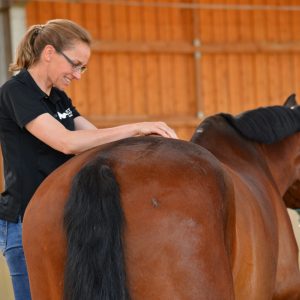 Pferdephysiotherapie und Pferdeosteopathie Soest